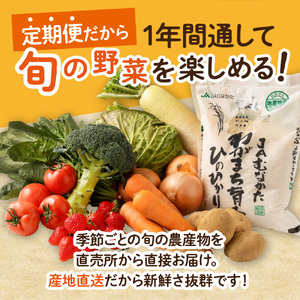 【定期便／年12回／毎月お届け】むなかた旬のお任せセット(野菜・フルーツ・お米／9～11品)【ほたるの里】_PB0029