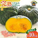 【ふるさと納税】【先行予約】よこすか こだわりかぼちゃ 約10kg【JAよこすか葉山】[AKFO004]