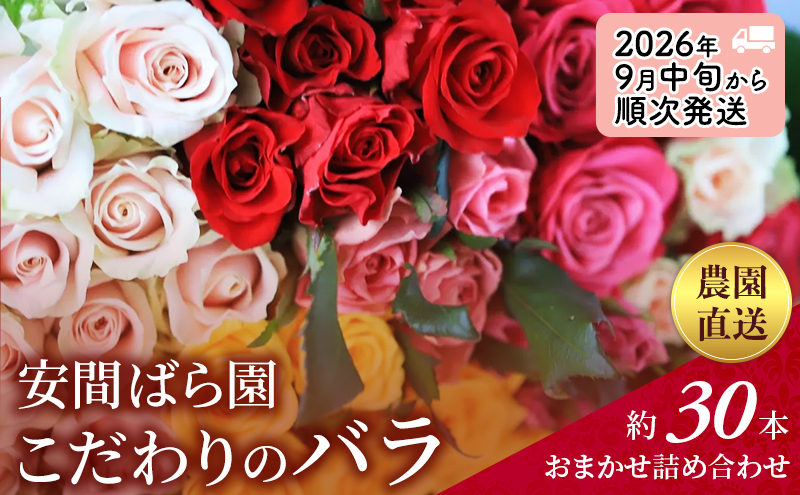 【2026年9月中旬から順次発送】安間ばら園 こだわりの バラ おまかせ詰め合わせ約30本入 クール便 花 ギフト 誕生日 記念日 花束 プレゼント バラ フラワーギフト