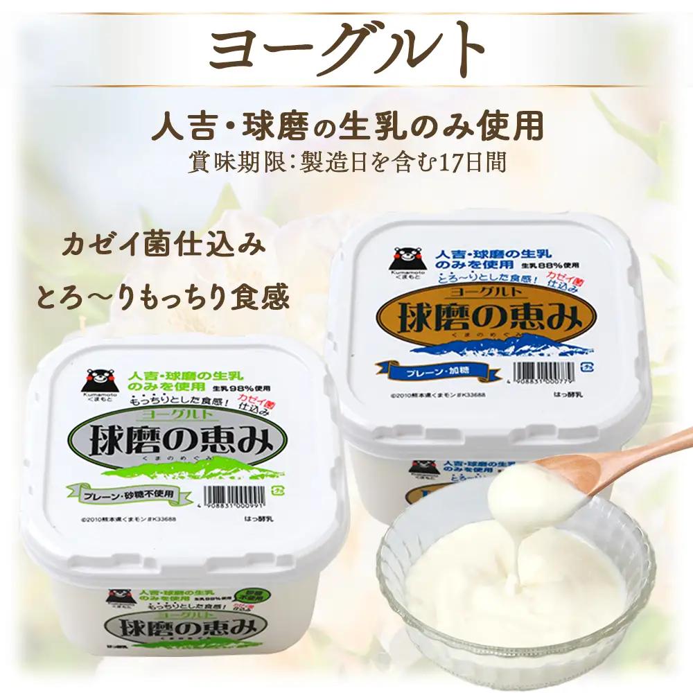 球磨の恵み ヨーグルト 加糖・砂糖不使用 1000g×各2個セット 合計4kg【 新鮮 生乳使用 とろーり もっちり 加糖ヨーグルト 砂糖不使用 プレーンヨーグルト 食べるヨーグルト 】 074-04
