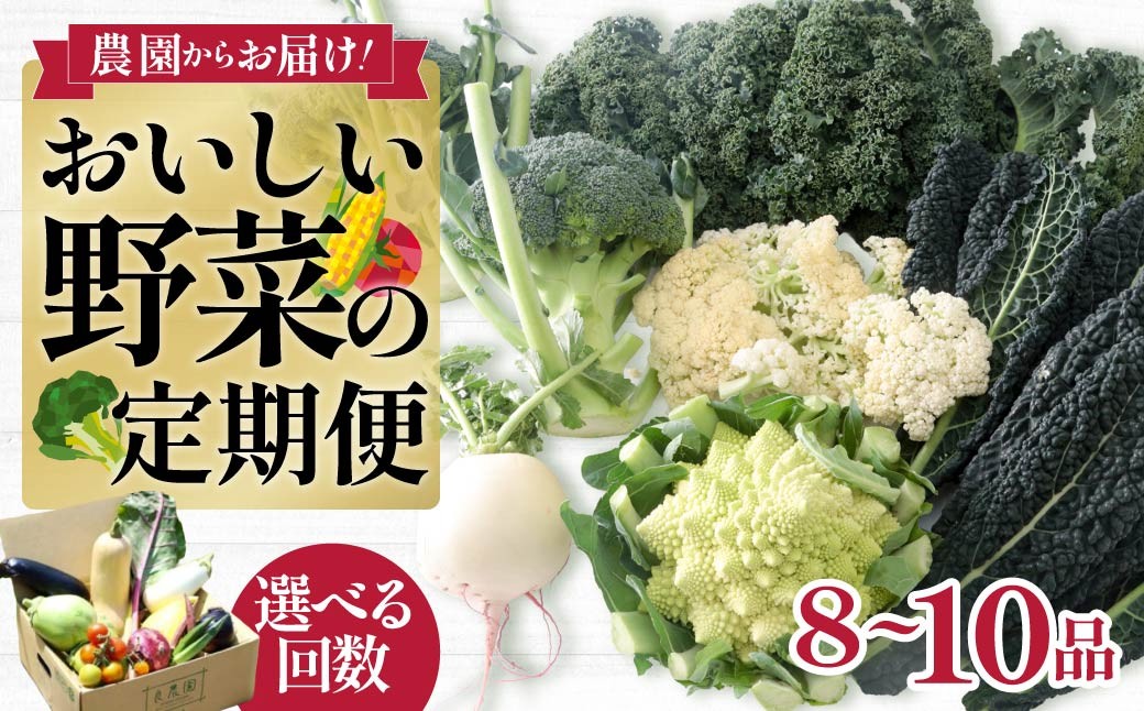 
                  野菜 西洋野菜 旬野菜セット 8～10品 選べる定期便  | 減農薬 野菜ソムリエ 旬野菜 イタリア野菜 珍しい 食べ比べ 生野菜 サラダ 野菜セット 詰め合わせ  ギフト レシピ 贈り物 国産 朝採れ 新鮮野菜 季節の野菜 産直 食品ギフト 手土産 良農園 群馬県 前橋市
                