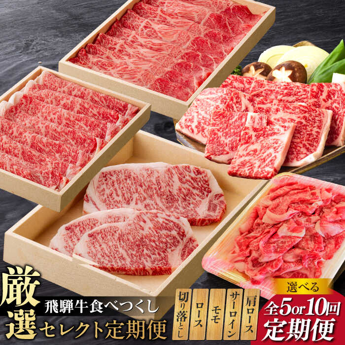 【ふるさと納税】【選べる定期便回数】 5回 10回 飛騨牛 食べつくし 厳選セレクト定期便 サーロイン ロース モモ 切り落とし ステーキ すきやき しゃぶしゃぶ 焼き肉 焼肉 和牛 国産 お肉 牛肉 肉 霜降り 赤身 お取り寄せ 岐阜県 岐阜市/だるまミート[ANBE001][ANBE002]