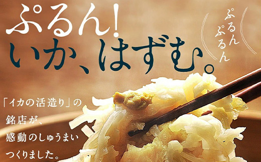 呼子萬坊いかしゅうまい2箱セット 呼子名物 惣菜 ギフト用 贈り物用「2024年 令和6年」
