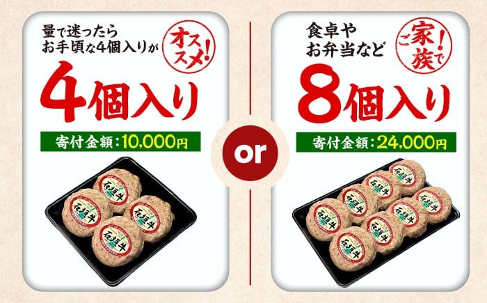 個包装 沖縄県産 石垣牛 ハンバーグ  はんばーぐ 国産 牛 ハンバーグ はんばーぐ 石垣牛ハンバーグ 冷凍 ギフト お取り寄せ