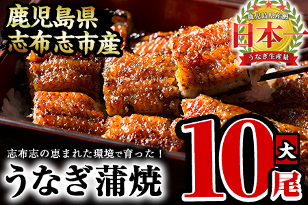 うなぎの大楠＜大＞10尾セット計1.5kg(150g×10) うなぎ 鰻 ウナギ 10尾 国産 九州産 蒲焼き かばやき 冷凍 うな重 ひつまぶし タレ 山椒 真空パック ランキング 人気 f7-001