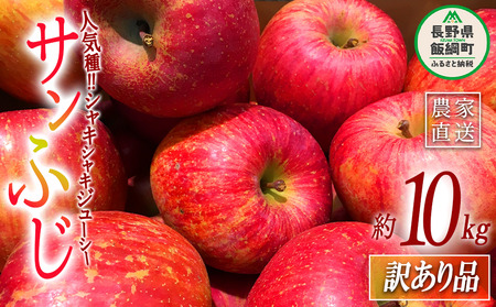 りんご サンふじ 訳あり 10kg 大垣農園 沖縄県への配送不可 2025年11月下旬頃から2025年12月下旬頃まで順次発送予定 令和7年度収穫分 傷 不揃い リンゴ 林檎 果物 フルーツ 信州 長野 16500円 予約 農家直送 長野県 飯綱町 [1133]