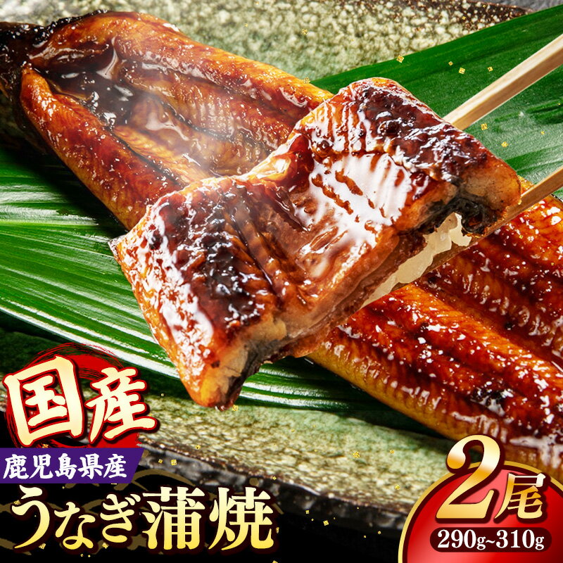 【ふるさと納税】国産 うなぎ 蒲焼き（鹿児島県産） 2尾 (290〜310g) 【国産100％ 鰻 ウナギ 蒲焼 土用丑の日 丑の日 冷凍 魚介 海鮮 おかず お祝い ご褒美 贅沢 おすすめ 人気 花立山養鰻 福岡県 筑前町 HY001】