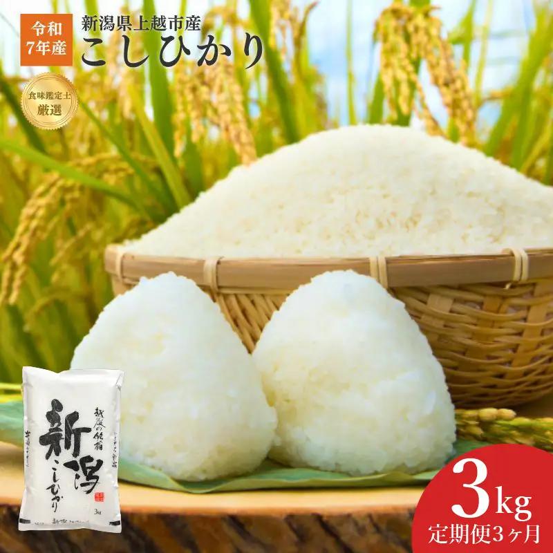 【3か月定期便】こしひかり 精米 上越産 こしひかり 3kg