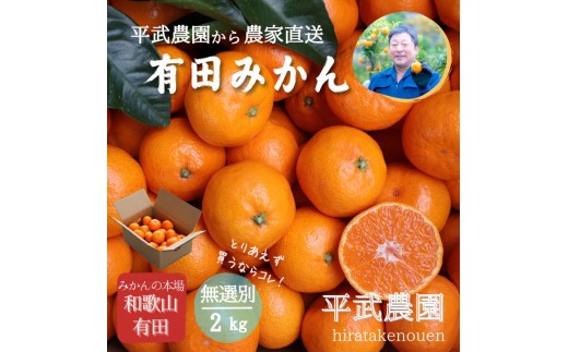
                  農家直送！有田みかん（2kg 無選別≪秀品･訳あり品･サイズ混合≫）平武農園　～蛍飛ぶ町から旬の便り～
                