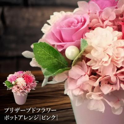 ふるさと納税 恵庭市 プリザーブドフラワー　ポットアレンジ(ピンク)【14001502】