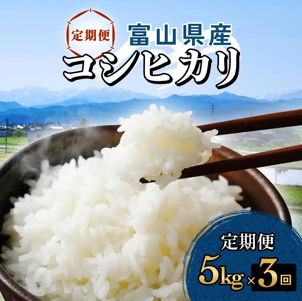 【3回定期便】富山県産 コシヒカリ 5kg 