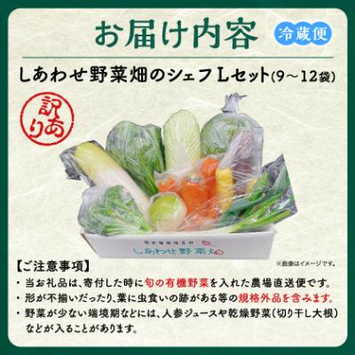 ふるさと納税 掛川市 しあわせ野菜畑のシェフLセット　(訳あり規格外の有機野菜を一部使用) |  | 03
