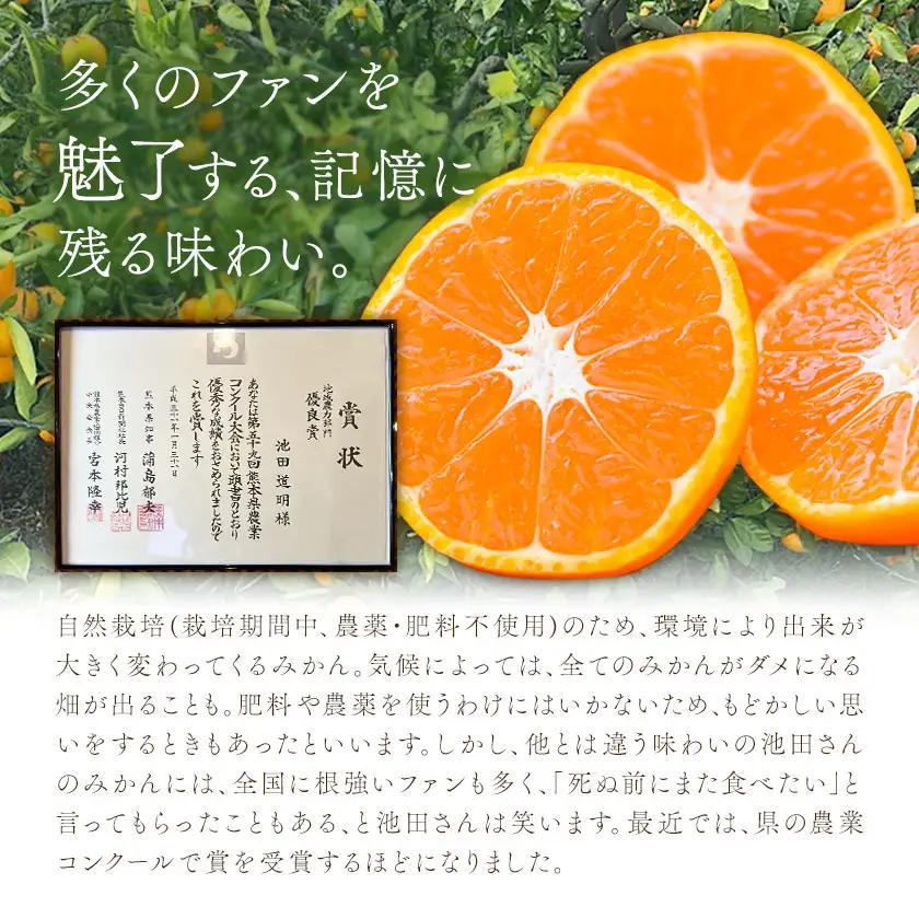 温州みかん 2kg 池田農園