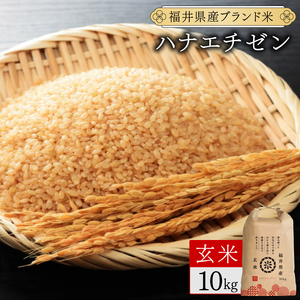 【定期便3回】福井県産 ハナエチゼン 玄米 10kg（10kg×1）＜令和7年産 新米 / 数量限定 ＞【米 コメ お米 精米 白米 無洗米 玄米 ご飯 飯 華越前 ブランド米 国産】[095-t3-a008]
