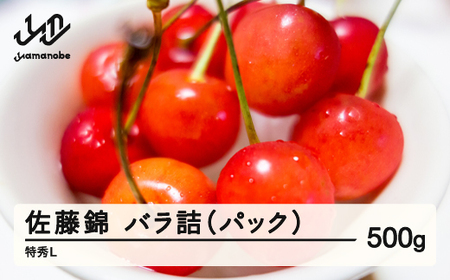 《先行予約》2026年 山形県産 さくらんぼ 佐藤錦 バラ詰（パック）500g 特秀 L 2026年6月上旬頃から順次発送 F20A-009