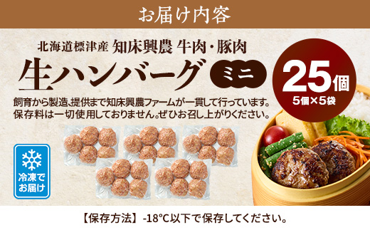 北海道産 生ハンバーグ ミニ 25個 セット ( 5個 × 5パック ) 冷凍 手作り ハンバーグ 国産 保存料不使用 牛肉 豚肉 ギフト お弁当 子供 子ども こども 安全 アミノ酸不使用 リン酸塩