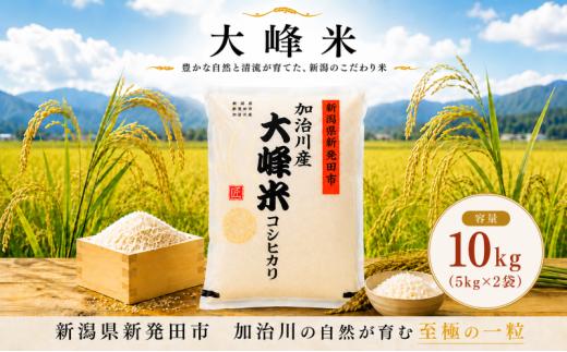 【大峰米コシヒカリ】 令和7年産 新潟県産 コシヒカリ 10kg（5㎏×2袋） 新潟県 新発田市 加治川産 新発田産 新潟 ふるさと納税 精米 米 お米 大峰米 白米 米 お米 こめ コメ ライス ご飯 ごはん 美味しい 贈り物 国産 新潟県 新発田市 お取り寄せ 令和7年産米 産地直送 GAP認証 JGAP アグリ加治川 agk009