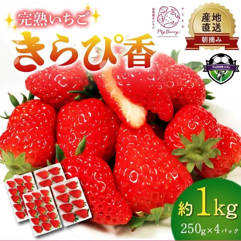 いちご きらぴ香 約1kg 約250g×4パック 朝どれ 完熟 苺 産地 直送 フレッシュ イチゴ 贈答 フルーツ 果物 国産 静岡 発送期間: 2024年3月～2024年5月 静岡県 藤枝市 (人気いちご ふるさと納税いちご ふるさといちご furusatoいちご おすすめいちご 送料無料いちご いちご ｲﾁｺﾞ 苺 いちご先行 いちご先行予約 きらぴ香いちご 藤枝いちご 静岡県産いちご 朝どれいちご 完熟いちご ﾌﾚｯｼｭいちご ｼﾞｭｰｼいちご ふじえだいちご 産地直送いちご いちご 国産いちご 約