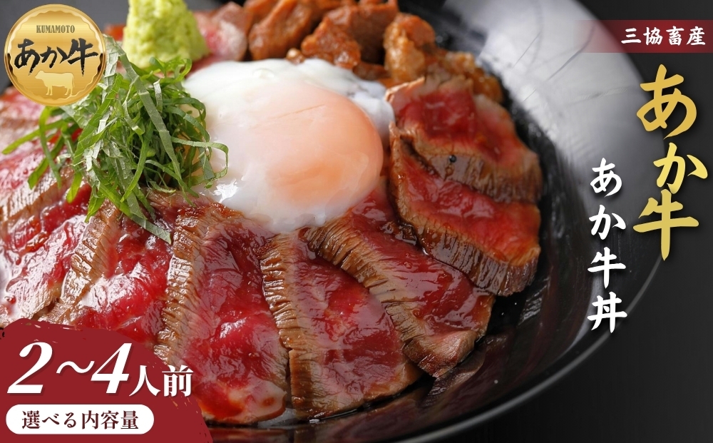 
                  【三協畜産】【選べる内容量】熊本名物あか牛丼セット 2人前 または 4人前 あか牛 赤牛 牛肉 あか牛 あか牛丼 国産 簡単 お取り寄せ 冷凍 お土産 ギフト 贈り物 贈答用 豪華 セット ご当地 簡単 手軽 贅沢 ご褒美 お祝い 人気 晩ご飯 熊本県 阿蘇市
                