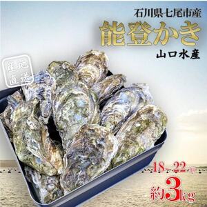 山口水産の能登かき 殻付き 3kg(18～22個入)【配送不可地域：離島・北海道・沖縄県・東北・四国・九州】【1374846】