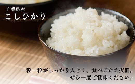 千葉県産こしひかり(精米)10kg(5kg×2袋)【1673834】