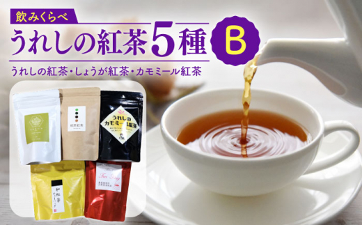 うれしの紅茶 5種 飲み比べセット B / 茶 お茶 紅茶 和紅茶 飲み比べ 飲みくらべ 佐賀 嬉野【うれしの紅茶振興協議会】 [NAP006]