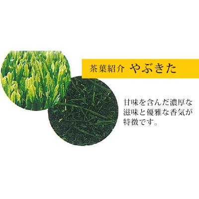 ふるさと納税 掛川市 深蒸し煎茶 天葉プレミアム 3缶セット |  | 03