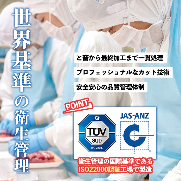 No.754 ＜定期便・全12回(連続)＞お楽しみ！大人気の返礼品定期便(全12回・ステーキ、ハンバーグ、ローストビーフなど)【カミチク】