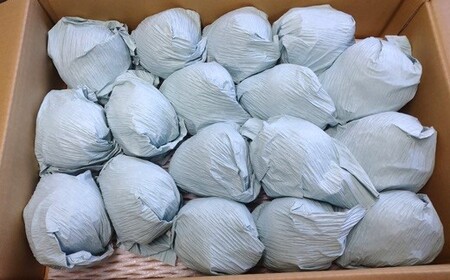 西洋梨（ラ・フランス）５.５ｋｇ　ご家庭用　0142-2414