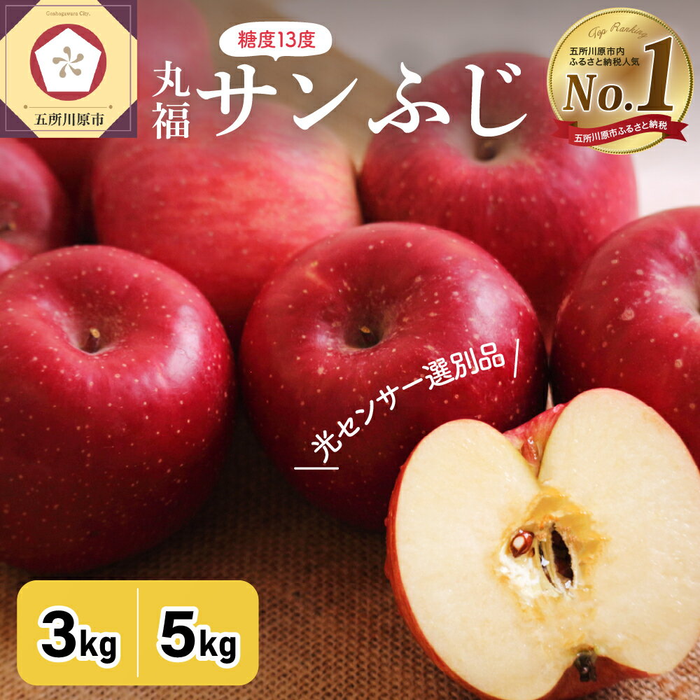 【ふるさと納税】★レビュー高評価 !★ サンふじ 丸福 ( 内容量が選べる : 3kg 5kg / 配送時期が選べる : 11月～3月 ) りんご 無袋 光センサー 選果 糖度 13度以上 秋 旬 フルーツ 常温保存 青森県 五所川原市