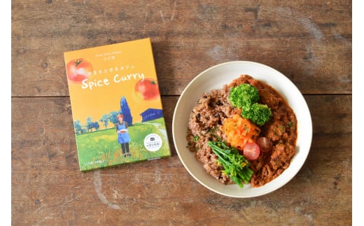 やまもとやまカフェのスパイスカレー (180g×3箱セット) レトルトパウチ やまもとやまCAFE本 【0049-0001-01】