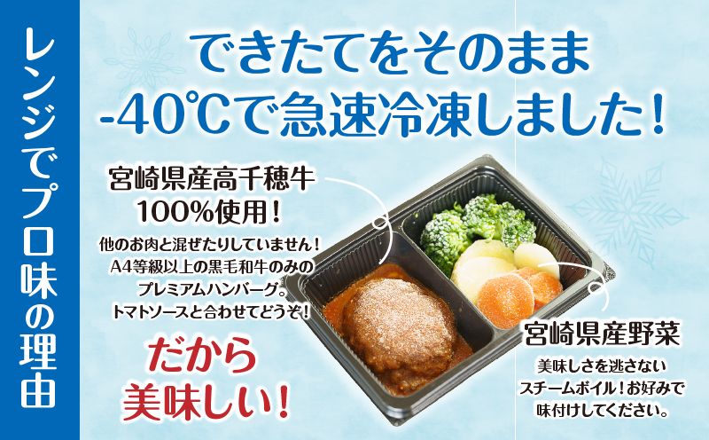 【6か月定期便】レンジでプロ味！定期便_Tk005-t042