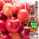 【ふるさと納税】さくらんぼ 佐藤錦”希少な大粒” 2Lサイズ 800g(200g×4パック) 【令和7年産先行予約】FS24-611 くだもの 果物 フルーツ 山形 山形県 山形市 お取り寄せ 2025年産