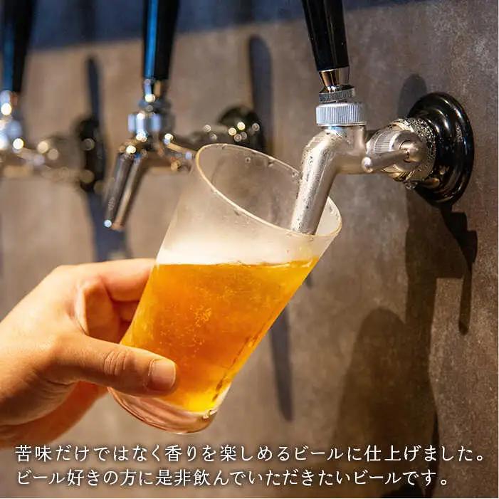 【全12回 定期便 】クラフトビール 地ビール  IPA 6本 【ISLAND BREWERY】 《 壱岐市 》[JED014] 204000 204000円