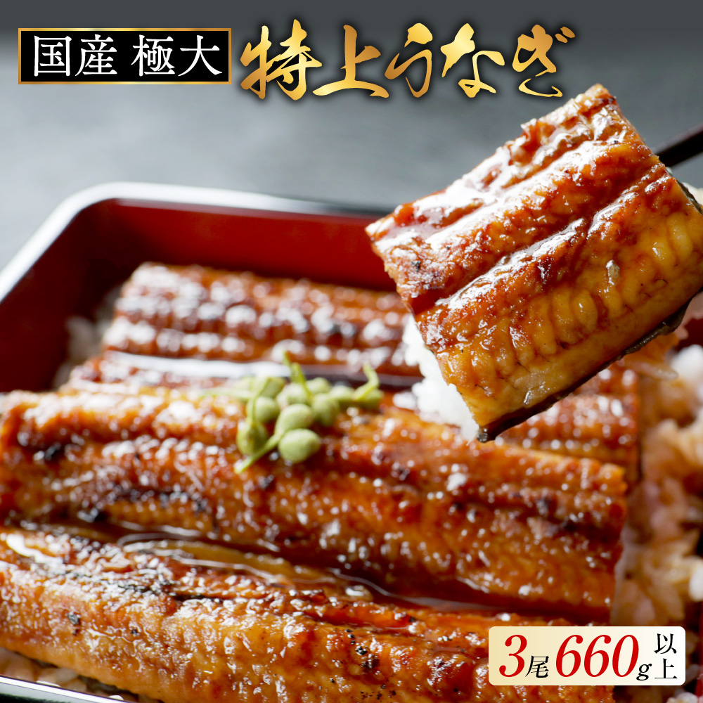 （6月）国産 極大 特上うなぎ(220g×3尾)【OT000OD30_006】