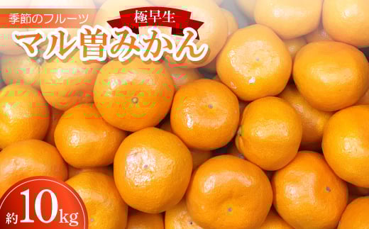 
            季節のフルーツ「マル曽みかん(極早生)」約10kg＜令和7年9～10月発送＞【1609820】
          