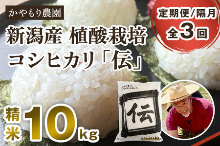【令和7年産】【定期便3回隔月お届け】新潟産コシヒカリ「伝」白米真空パック 精米10kg（5kg×2） 《9月下旬〜順次出荷》