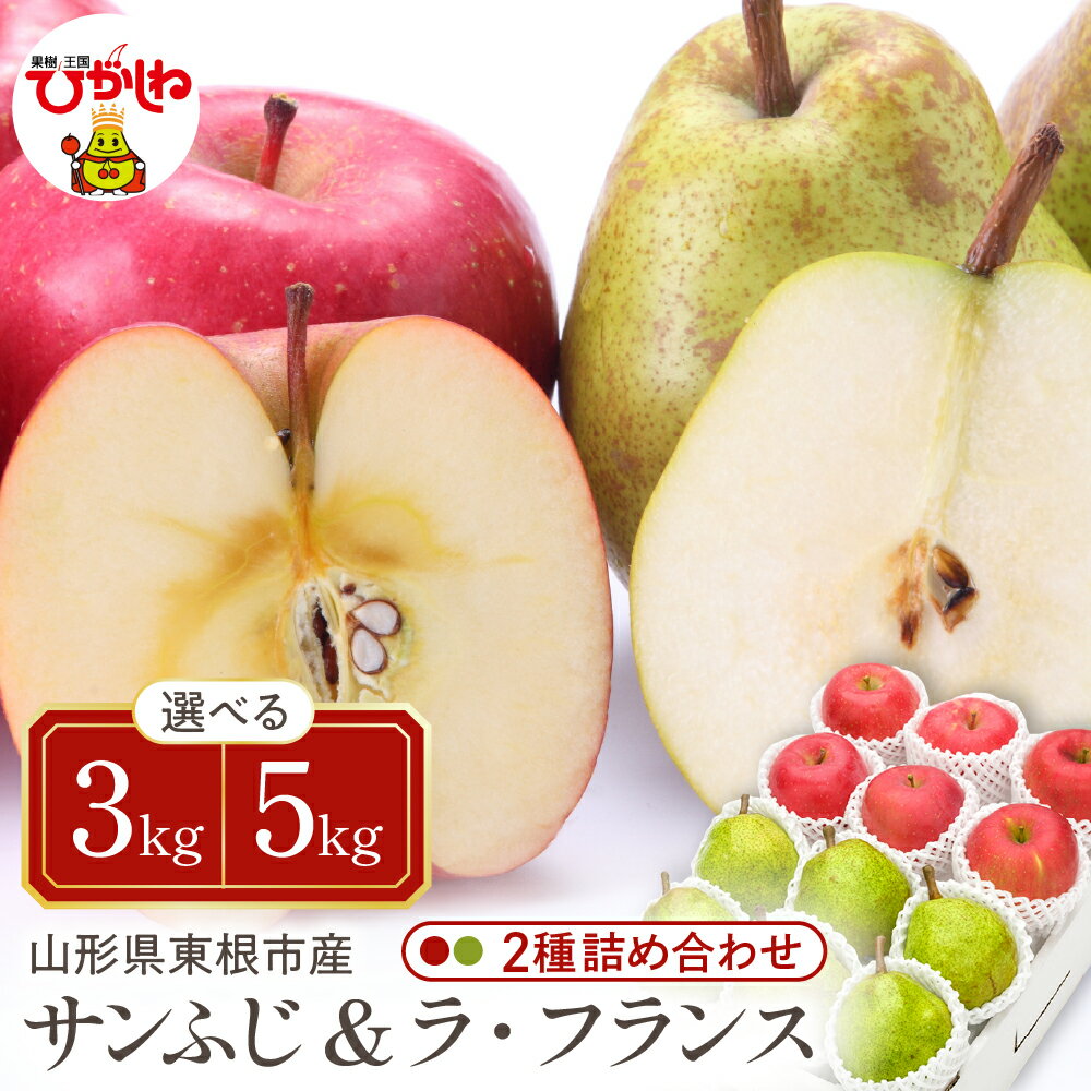 【ふるさと納税】 【 令和7年産 先行予約 】 サンふじ ラフランス 2種 詰め合わせ ( 選べる : 3kg / 5kg )/ りんご リンゴ 林檎 秋 旬 西洋梨 洋梨 なし フルーツ 果物 くだもの お取り寄せ 産地直送 東北 山形県 東根市