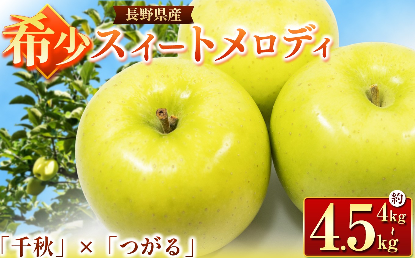 
                  【2026年先行予約】希少品種 スイートメロディ 約4～4.5kg ｜ 東印平林農園 リンゴ りんご 林檎 果物 くだもの フルーツ 果実 果汁 スイートメロディ エコファーマー 長野県 松川村 信州
                