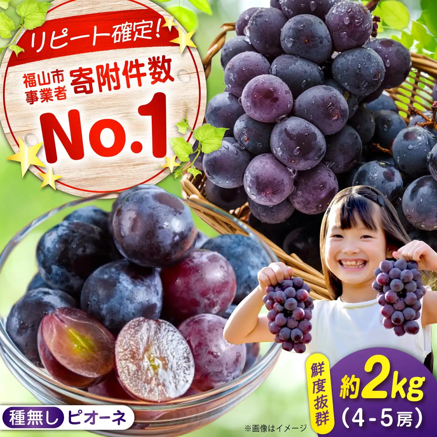 【期間限定/8月下旬から9月上旬頃発送】沼隈ぶどう「ピオーネ」 約2kg [BAEV002]ピオーネ