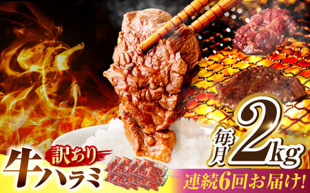 【6回定期便】【訳あり】味付けハラミ 2kg(250ｇ×8パック) / ハラミ 牛肉 焼肉 / 御嵩町 / 馬力家[AVBO049]