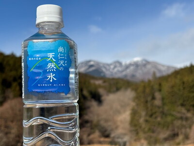 【2ヶ月定期便】＼名水百選認定／尚仁沢の天然水 500ml×24本｜塩谷町 栃木県 軟水 湧水  天然水  ペットボトル