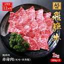 【ふるさと納税】【定期便12ヶ月】牛肉 飛騨牛 焼き肉 セット 赤身 モモ 又は カタ 1kg 黒毛和牛 A5 美味しい お肉 牛 肉 和牛 焼肉 BBQ バーベキュー 【岐阜県池田町】　定期便