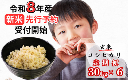 【令和8年産新米・先行予約】【6回定期便】あわくら源流米 コシヒカリ 玄米 30kg｜西粟倉村産・昼夜寒暖差が育む甘み｜ふるさと納税 K-ad-CFZA