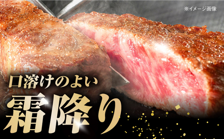 土佐あかうし 塊肉ステーキ 約500g（サーロイン）【株式会社Dorago】[ATAM045]