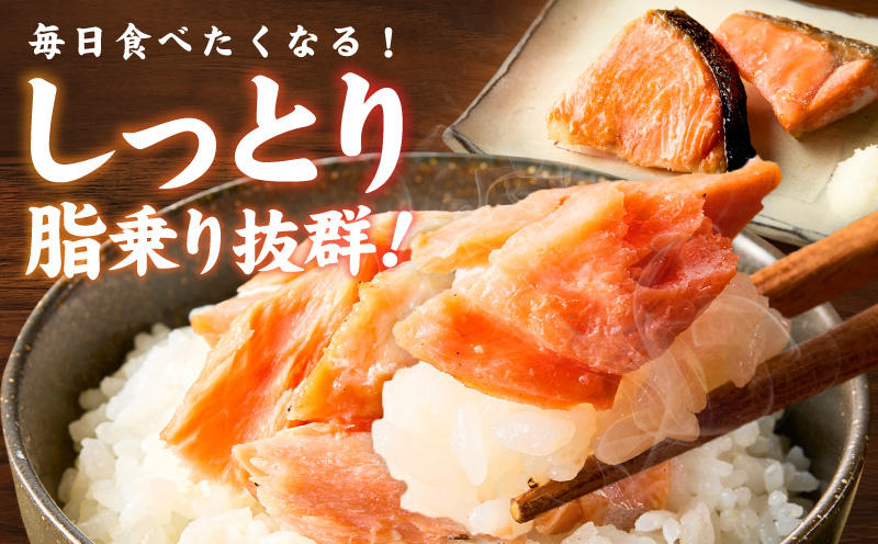 鮭の切り身 500g（11～13切れ）【お弁当 訳アリ 不揃い 切身 サケ さけ しゃけ シャケ 魚介 海鮮 魚 さかな】 010B1932