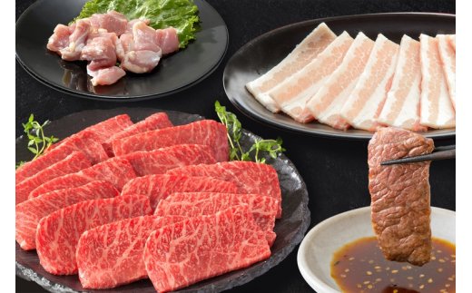 スタミナ満点！バーベキューセット 約1kg モモ 牛肉 豚肉 鶏肉 J339