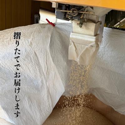 ふるさと納税 小松市 【先行予約】【定期便】令和8年産 コシヒカリ 精米5kg×3ヶ月 お米 白米 こしひかり 元田農産 |  | 03