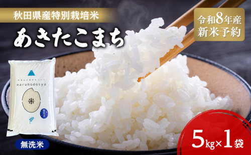 【令和8年産 新米予約】【無洗米】秋田県産特別栽培米あきたこまち5kg×1袋 新米 お米 おこめ 精米 小分け 特別栽培米