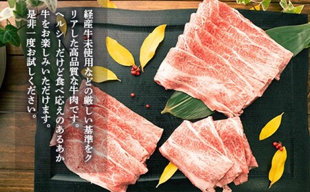 あか牛 すき焼き用 切り落とし GI認証 熊本県産 あか牛【600g】